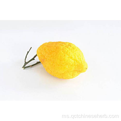 Buah Citron Berkualiti Tinggi Semula Jadi